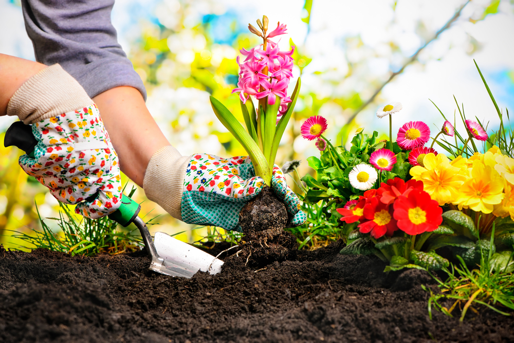 Spring into Learning: 3 Tips to Jump-start Your Learning Goals