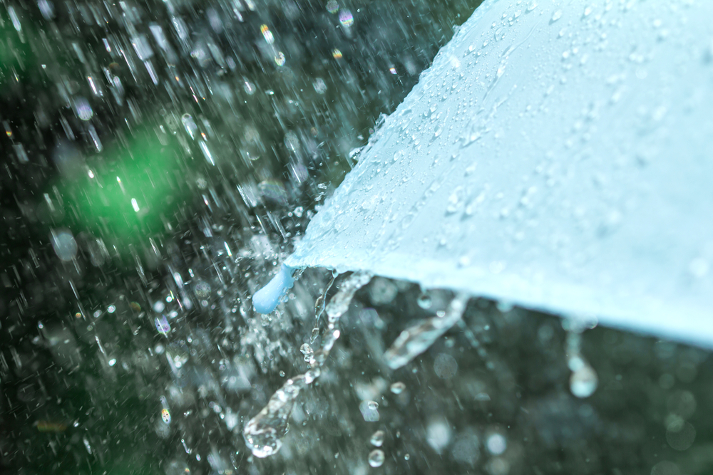 Shining The Light: The Compliance Needs of Highly-regulated Industries