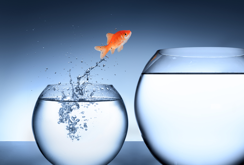 Winning Strategies to Overcome Resistance to Change