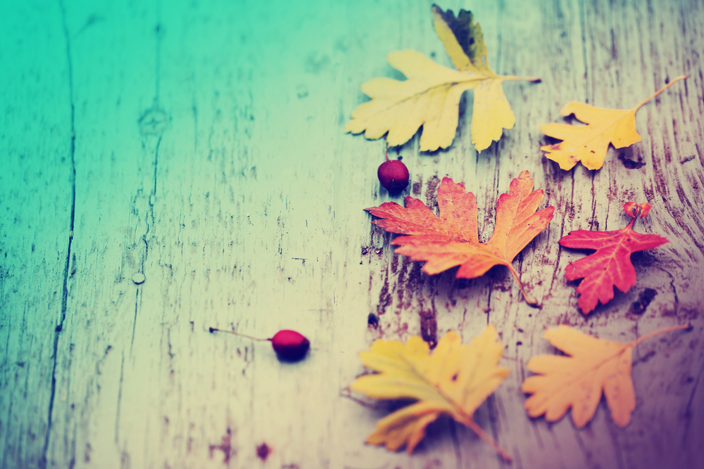 The Art of Saying Thanks at Work