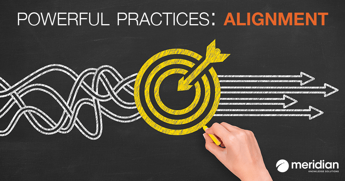 Powerful Practices: Alignment