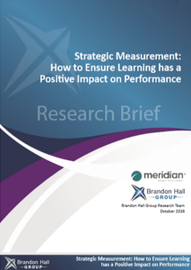 Strategic Measurement-BHG Thumbnail Strategic Measurement-BHG Thumbnail